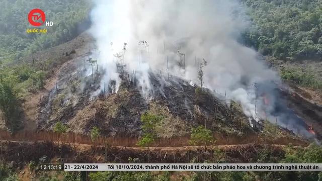 Quảng Nam: Nguy cơ cháy rừng vào cao điểm đốt nương rẫy
