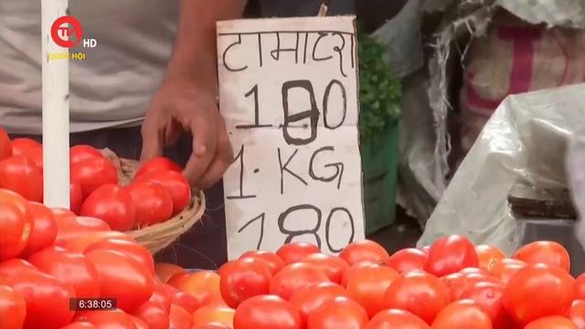 Người Ấn Độ không dám ăn cà chua 