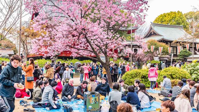Lượng khách Việt đến Nhật vào top 7 thế giới
