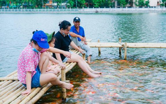 Hà Nội: Yêu cầu di dời 8 tấn cá koi ra khỏi hồ Đầm Đông
