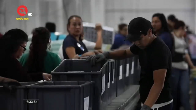 Hàng triệu cử tri Guatemala tham gia bỏ phiếu bầu tổng thống