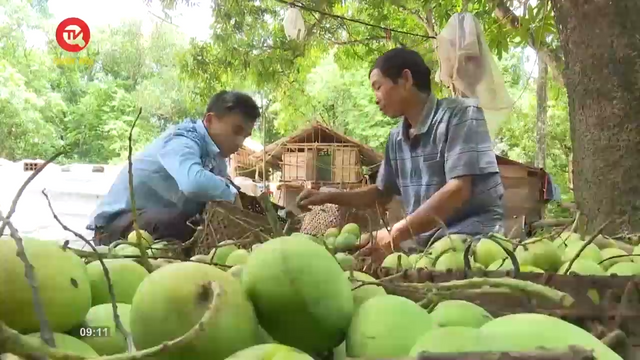 Nông nghiệp Việt Nam: Thúc đẩy kinh tế nông nghiệp gắn với chỉ dẫn địa lý và mã số vùng trồng