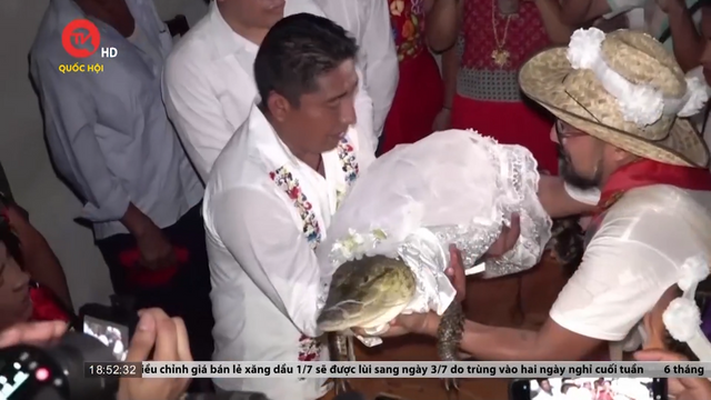 Cụm tin quốc tế: Thị trưởng ở Mexico làm đám cưới với cá sấu
