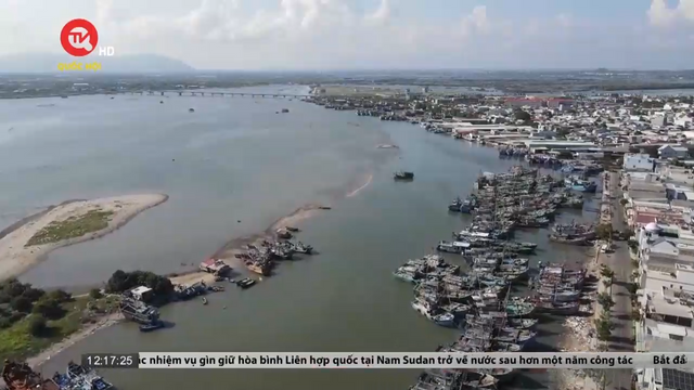 Nỗ lực tháo gỡ "thẻ vàng" cho hải sản khai thác của Việt Nam
