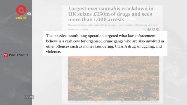 Gần 1.000 người bị bắt trong chiến dịch truy quét tội phạm có tổ chức lớn nhất ở Anh