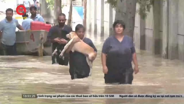 Cụm tin quốc tế: Thủ đô New Delhi, Ấn Độ ngập lụt diện rộng