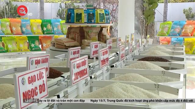 Giá gạo Việt xuất khẩu cao nhất 10 năm