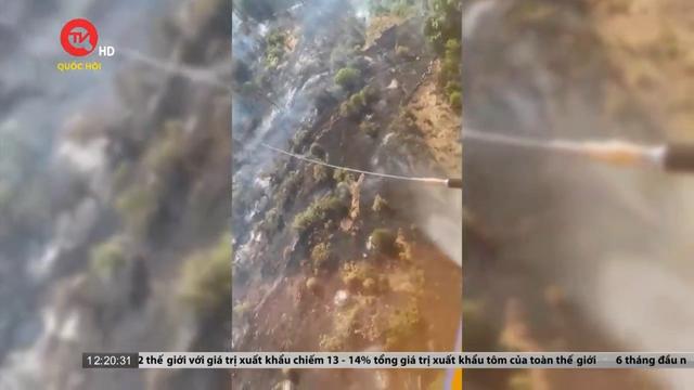 Cháy rừng nghiêm trọng tại Hy Lạp