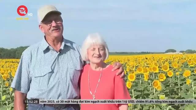 Người nông dân Mỹ trồng hơn 1 triệu bông hướng dương tặng vợ 