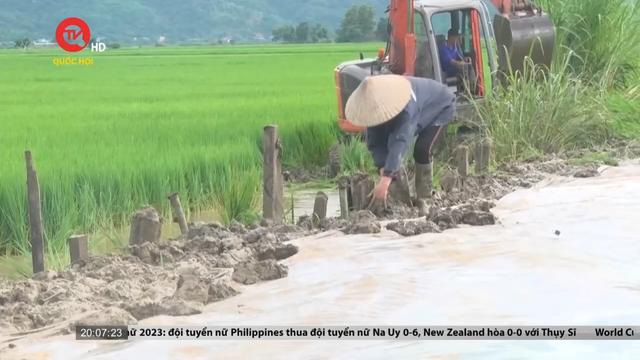 Đắk Lắk: Mưa lũ gây thiệt hại hơn 750 ha lúa 