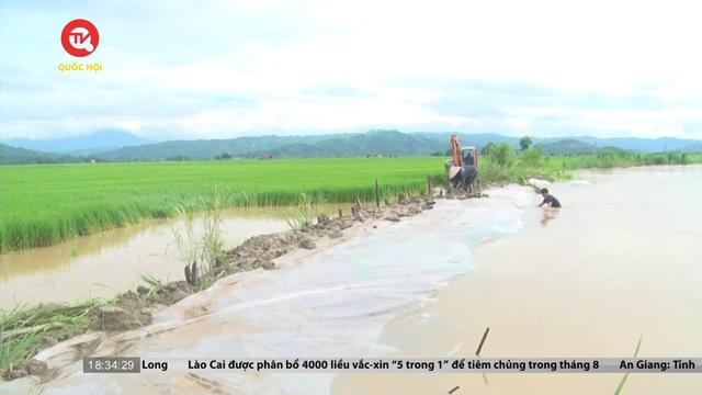Đắk Lắk: Mưa lũ gây ngập lụt hơn 2.400 ha cây trồng