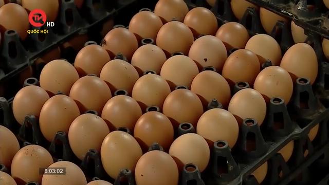 Hồng Kông gỡ bỏ lệnh cấm nhập khẩu trứng gia cầm Việt Nam