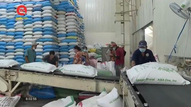 Bộ trưởng Bộ Công Thương: Phải tiêu thụ lúa gạo với giá có lợi cho nông dân
