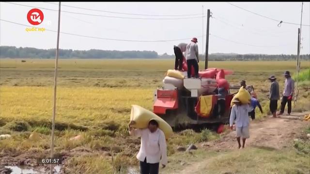 Bộ Công Thương yêu cầu bình ổn giá gạo trong nước  
