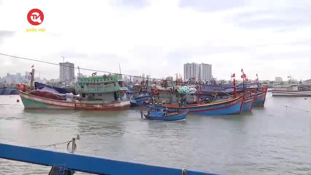 Tạp chí người Việt: Đồng hành cùng ngư dân vươn khơi, bám biển