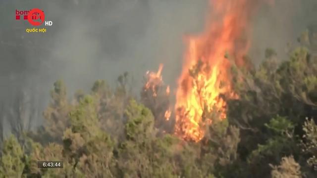 Cháy rừng ở Đông Bắc Tây Ban Nha