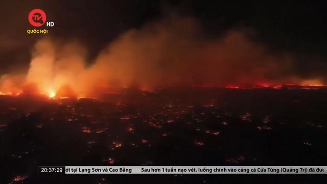 Cụm tin quốc tế 10/8: Cháy rừng ở Hawaii, ít nhất 36 người thiệt mạng