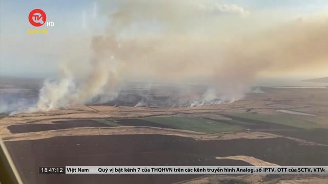 Cụm tin quốc tế: Cháy rừng tại Hawaii lan nhanh do gió lớn