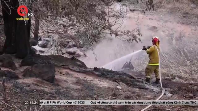 Hành trình tìm kiếm người thân mất tích sau cháy rừng ở Hawaii   