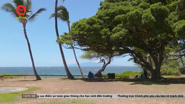 Khách du lịch được cảnh báo cân nhắc khi tới Hawaii 