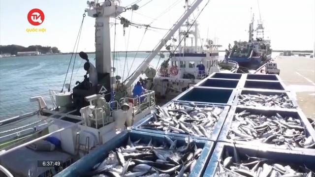 Trung Quốc giảm nhập khẩu hải sản từ Nhật Bản