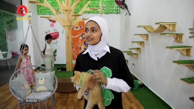 Bình yên quán cafe mèo đầu tiên ở Dải Gaza