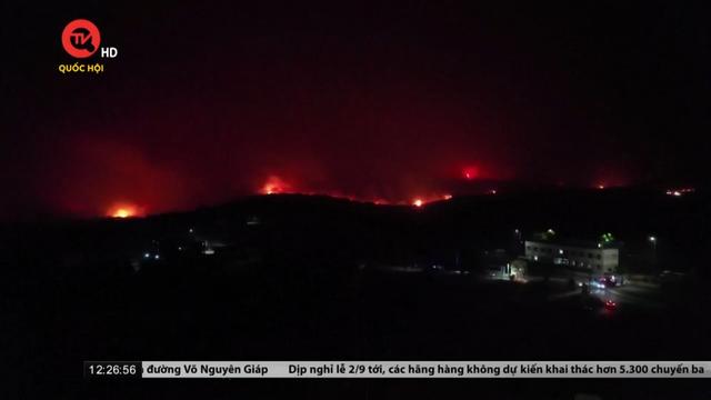Cụm tin quốc tế: Hy Lạp phát hiện 18 thi thể người di cư trong đám cháy rừng