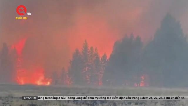 Cháy rừng tại Washington, Mỹ đe dọa 1.000 khu dân cư