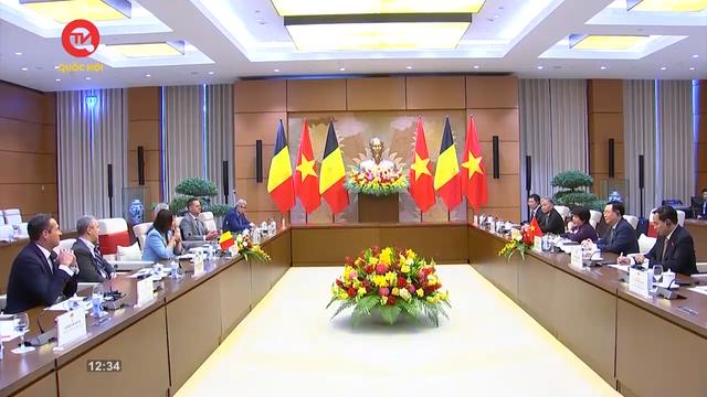 Quốc hội trong tuần: Thống nhất định hướng, giải pháp tăng cường quan hệ hợp tác Việt Nam - Bỉ