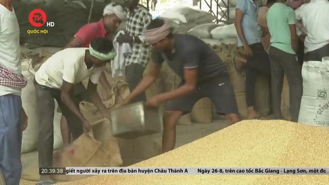 Ấn Độ tiếp tục siết chặt xuất khẩu gạo