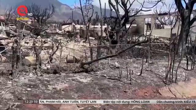 Hạt Maui, Hawaii khởi kiện về vụ hỏa hoạn tại trấn Lahaina 