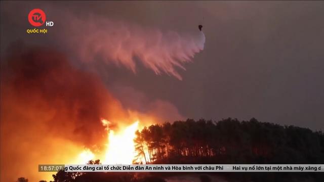 Cụm tin quốc tế: Cháy rừng tại Hy Lạp không ngừng lan rộng 