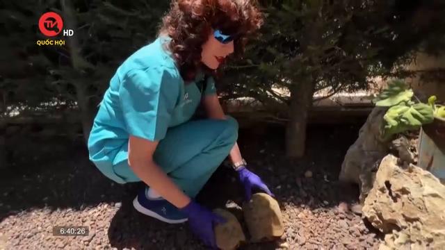 Người phụ nữ Jordan và niềm đam mê với loài rùa

