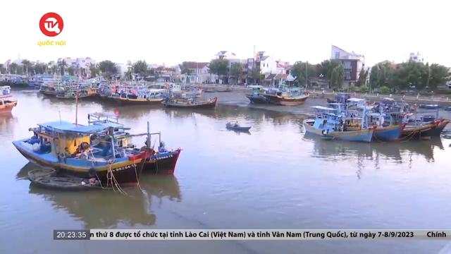Bình Thuận: Ngư dân không dám ra khơi vì mất ngư lưới cụ 
