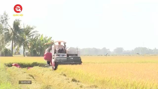 Hiêp hội Lương thực Việt Nam muốn áp giá sàn với gạo xuất khẩu
