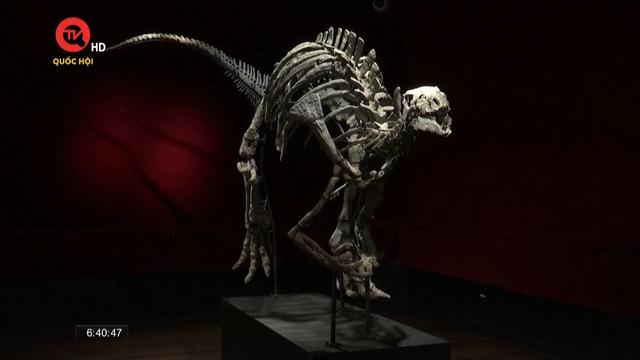 Đấu giá bộ xương khủng long ở Paris, Pháp