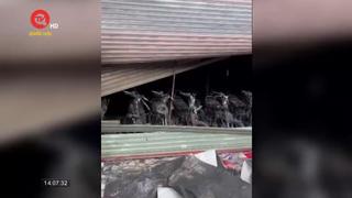 Cháy cửa hàng xe máy, hơn 100 chiếc xe bị thiêu rụi