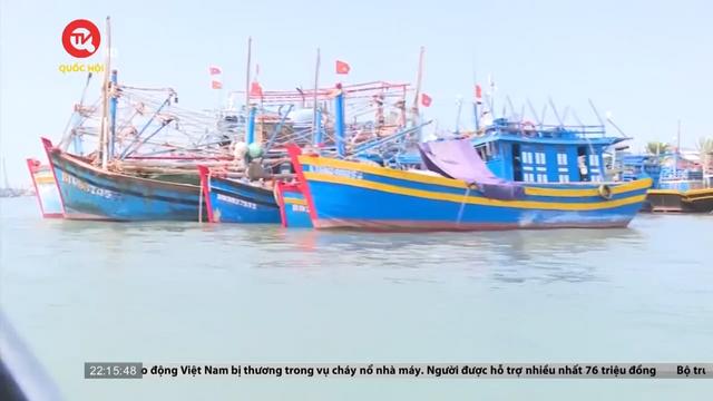 Bình Thuận: Toàn bộ tàu cá đã lắp thiết bị giám sát hành trình 