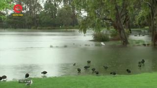 Sau cháy rừng, bang Victoria, Australia đối mặt nguy cơ lũ lụt 