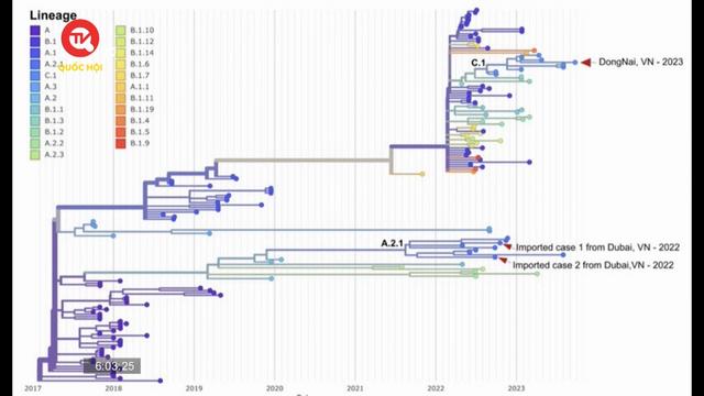 Kết quả giải mã gene ca mắc bệnh đậu mùa khỉ nội địa ở TPHCM