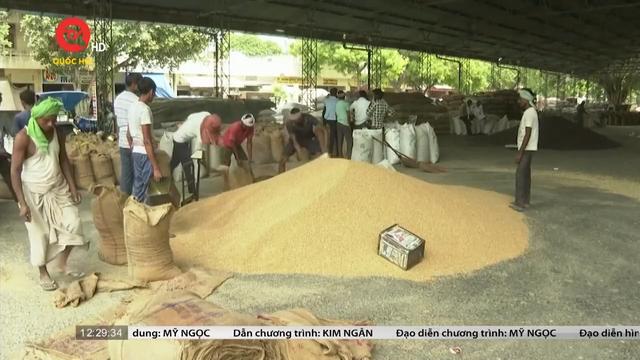 Ấn Độ cho phép xuất khẩu 1 triệu tấn gạo trắng tới 7 quốc gia 