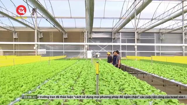 Lâm Đồng: Áp dụng công nghệ hiện đại vào sản xuất nông nghiệp 