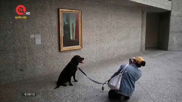 Triển lãm nghệ thuật cho chó tại Mexico