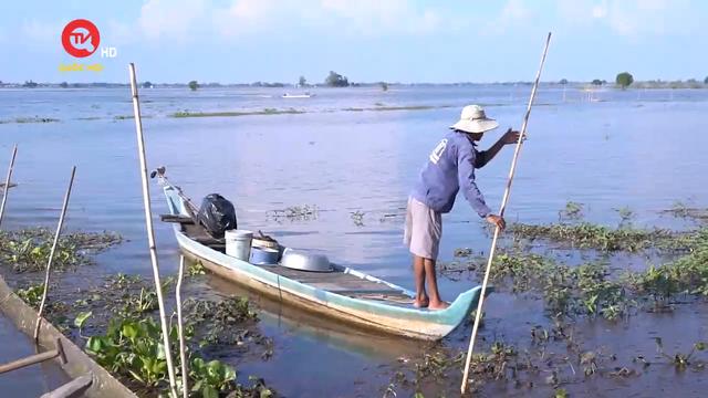 Nông thôn Việt Nam: Thương mùa nước nổi 
