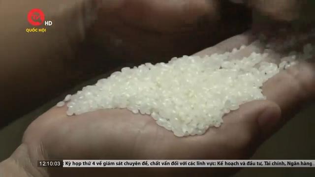 Giá gạo Việt tăng cao nhất lịch sử