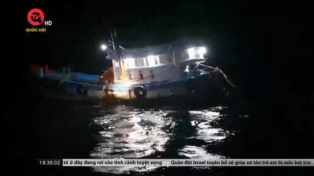 Thừa Thiên Huế bắt giữ 2 tàu đánh bắt hải sản trái phép 