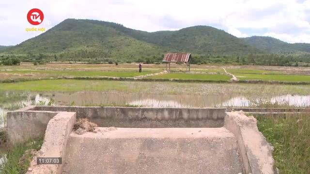 Đắk Lắk: Lỗ hổng quản lý gây lãng phí tài sản công 