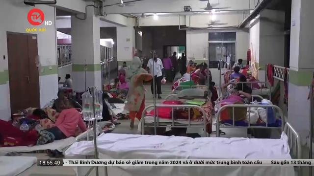 Dịch sốt xuất huyết bùng phát ở Bangladesh 