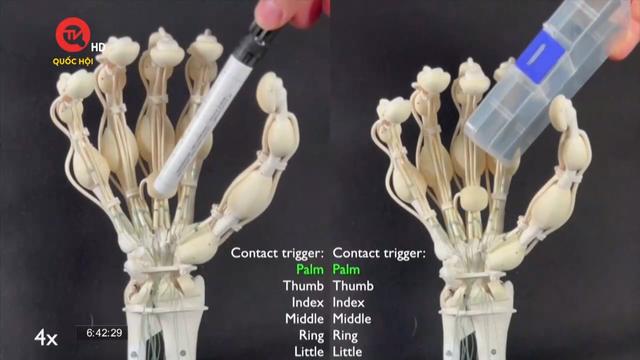 Bàn tay robot mô phỏng cấu trúc phức tạp của tay người