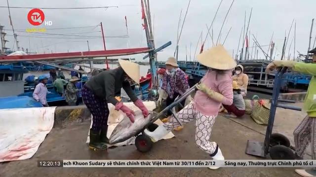 Phú Yên: Phát huy hiệu quả từ mô hình tổ, đội tàu thuyền đánh bắt thủy sản trên biển